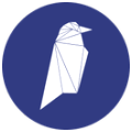Ravencoin RVN Logo